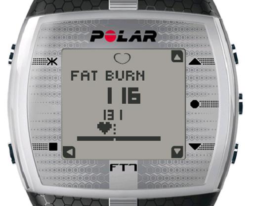 polar-ft7-001.JPG